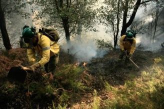 Planes-autoproteccion-forestal-Plan-INFOCA-2013